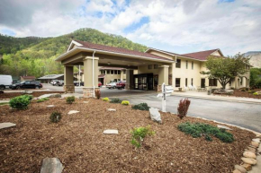 Comfort Inn near Great Smoky Mountain National Park Maggie Valley